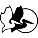 Pelican