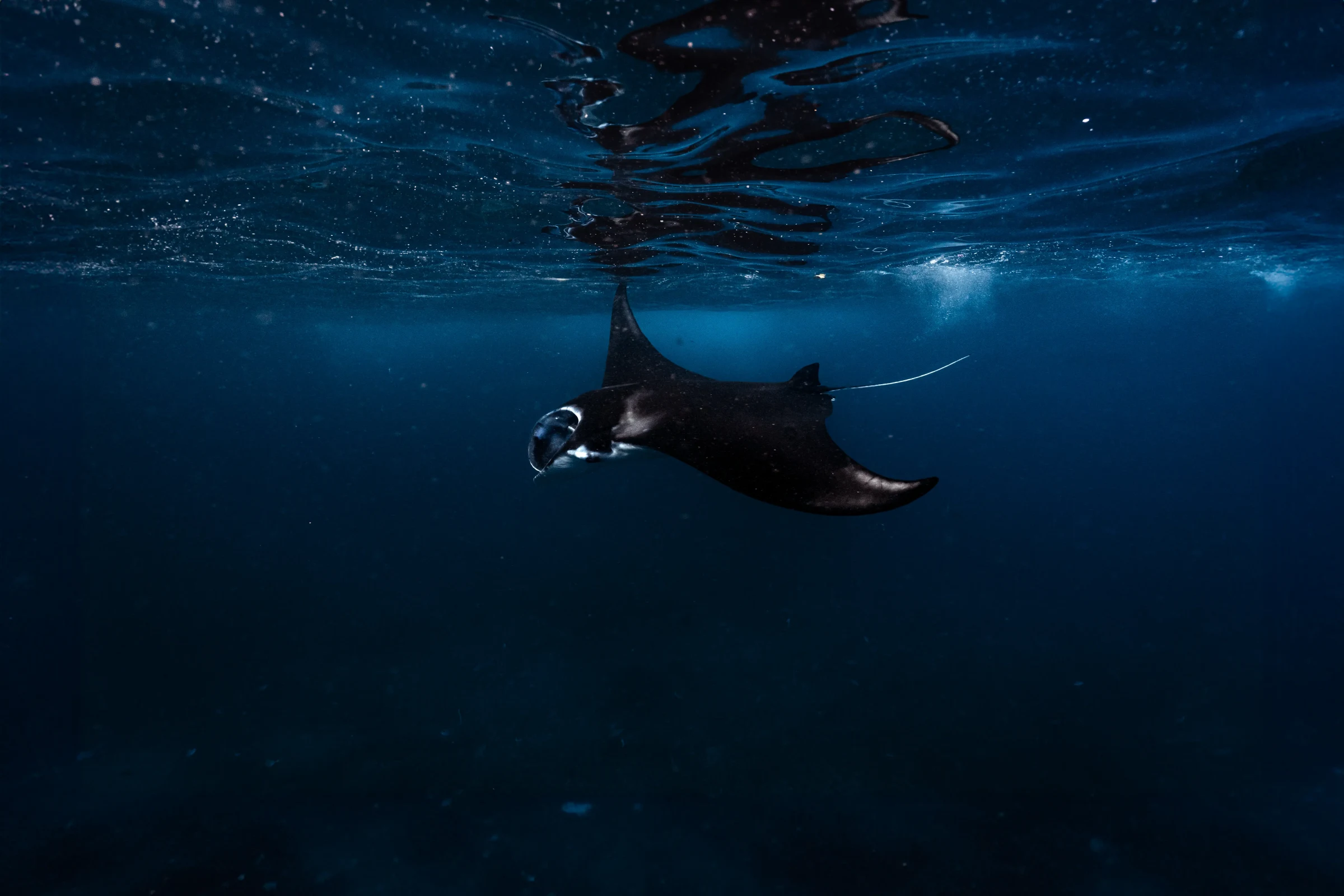 Fotografía de Alvaro Arbe
