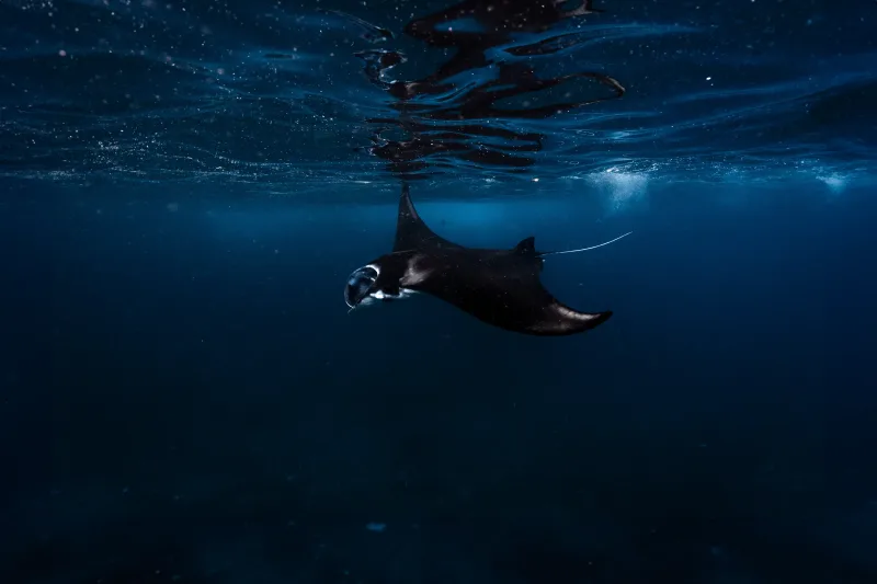 Fotografía de Alvaro Arbe