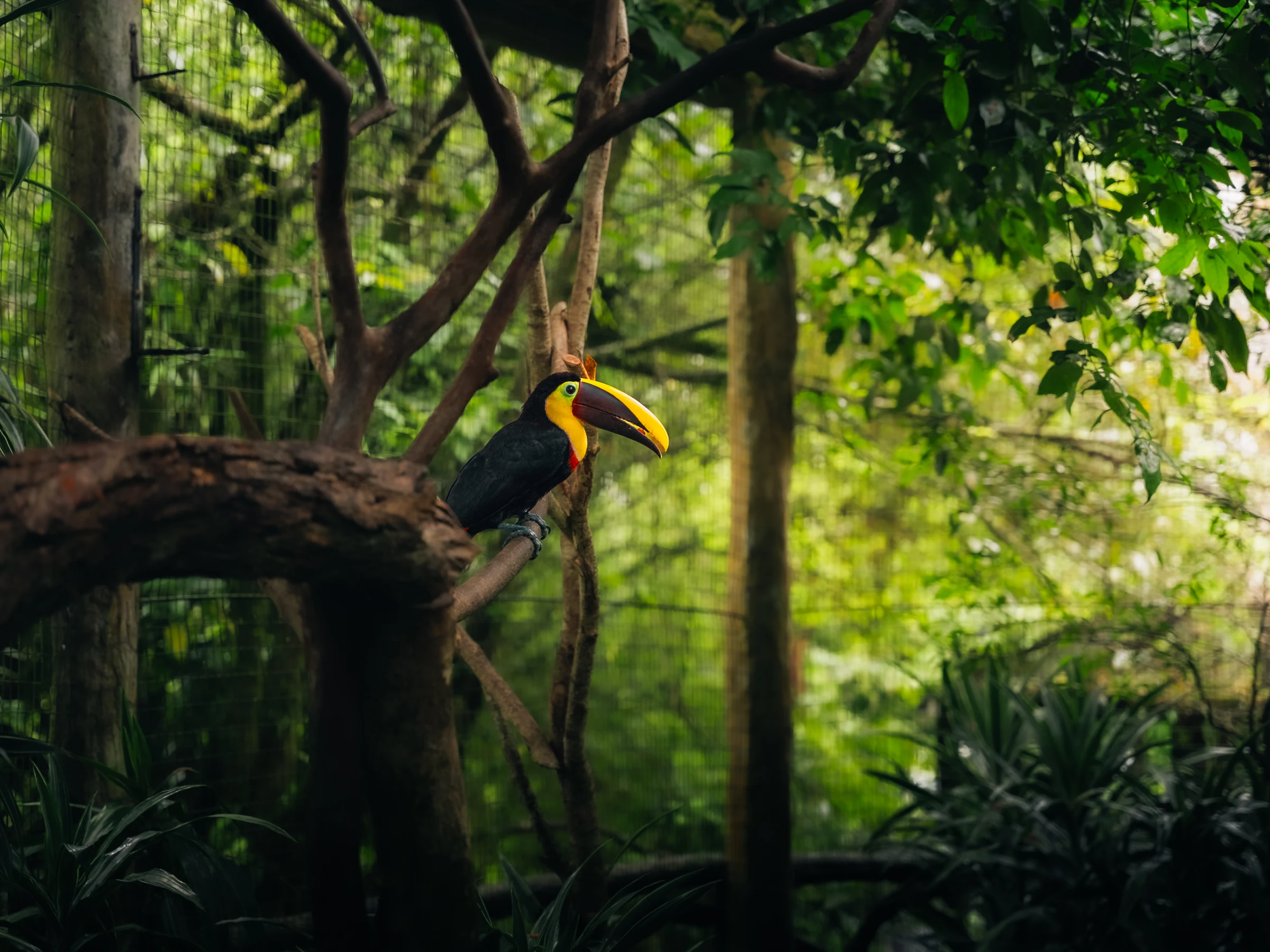 Costa Rica