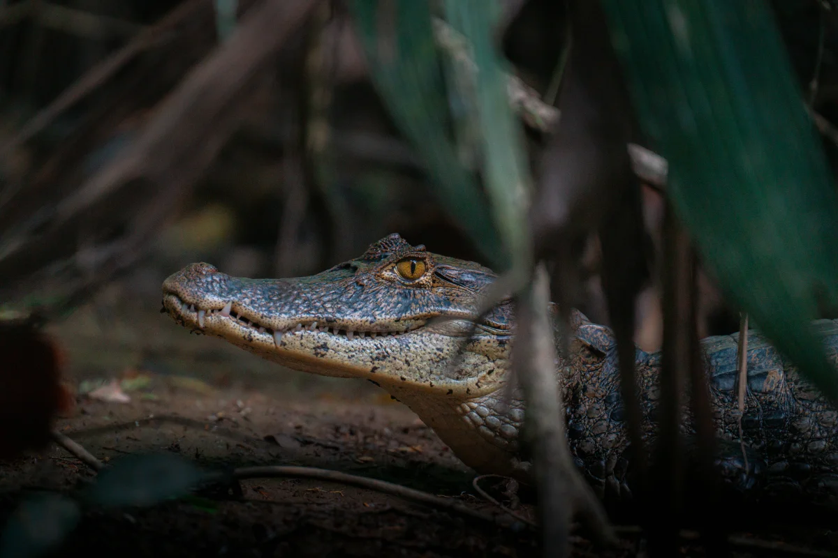 Costa Rica